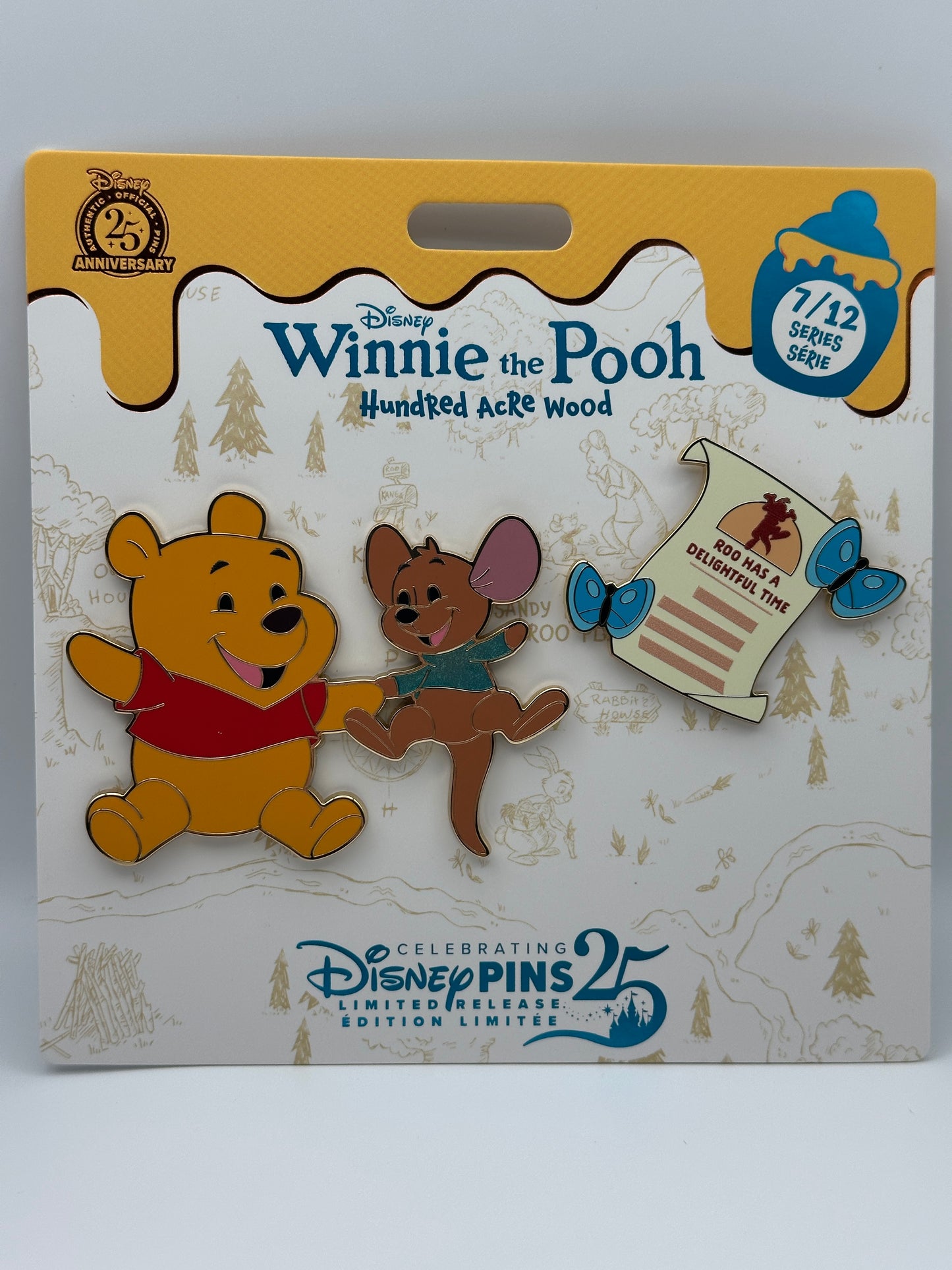 Disney Pin Winnie the Pooh Hundred Acre Woods July 7/12 | Limited Release | Pins and Wishes
